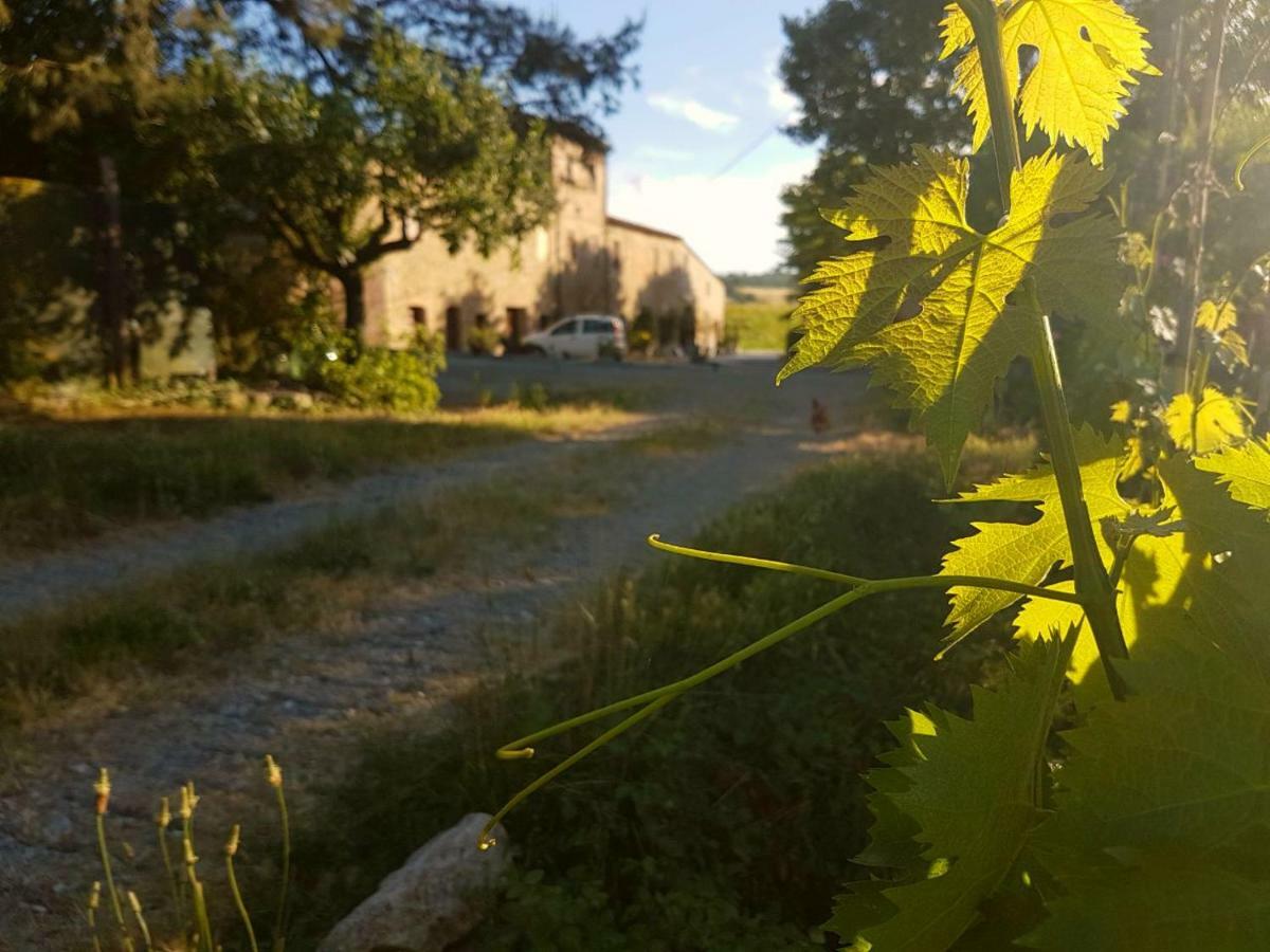 Agriturismo Podere Molino Peccioli Exterior foto