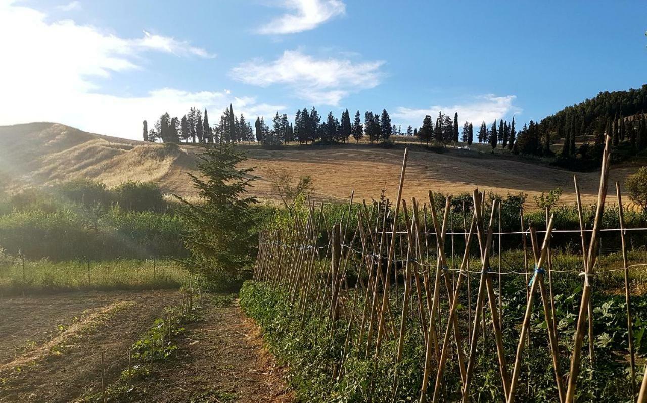 Agriturismo Podere Molino Peccioli Exterior foto