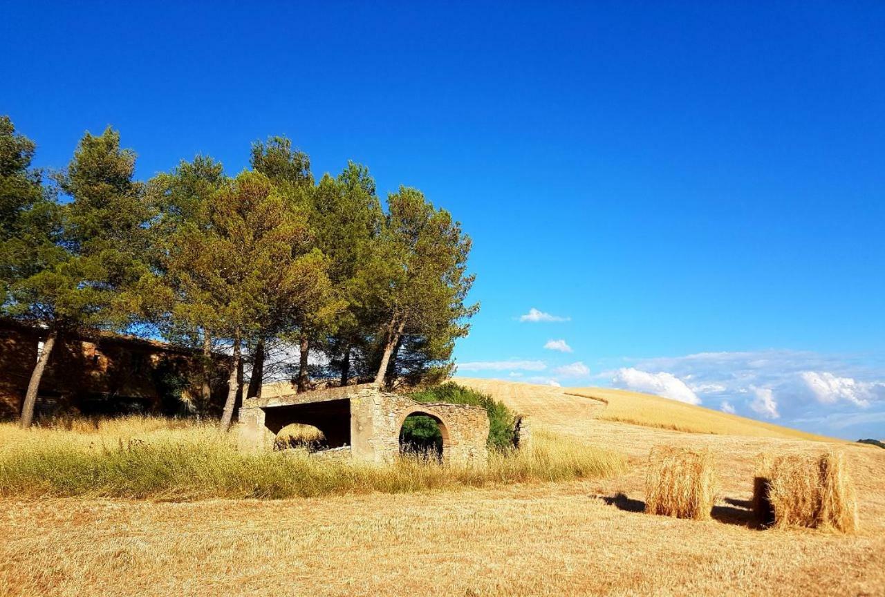 Agriturismo Podere Molino Peccioli Exterior foto