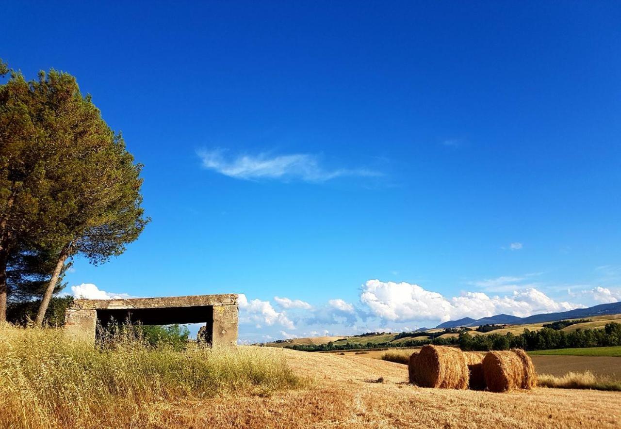 Agriturismo Podere Molino Peccioli Exterior foto
